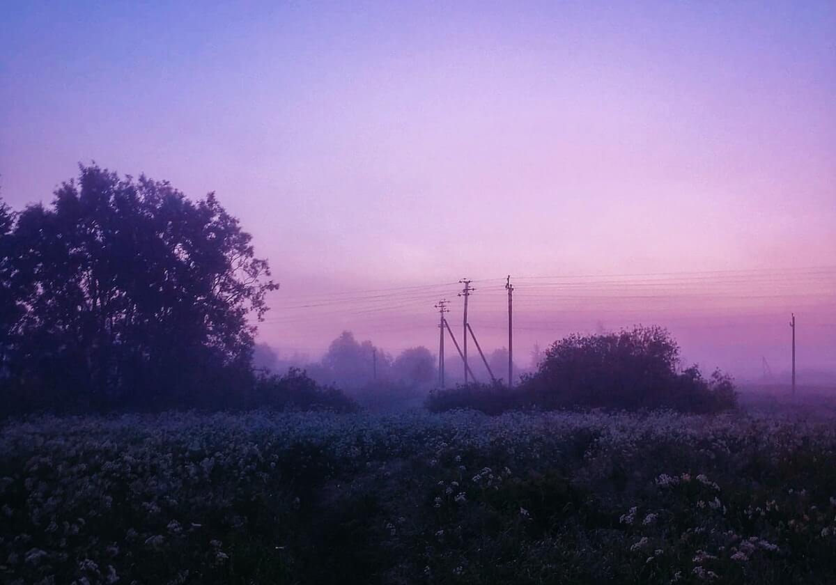 官方网站的力量与信赖：让用户从第一眼就愿意停留
